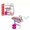 Пианино BB 335 D (8) на батарейках, 24 клавиши, микрофон, подсветка, мелодии, стульчик, 3D звук, в коробке