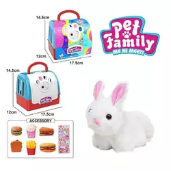 Улюбленець CH 6027 C (120/2) заводний механізм, пискавка, аксесуари, окуляри, наліпки, переноска, в боксі Улюбленець CH 6027 C (120/2) заводний механізм, пискавка, аксесуари, окуляри, наліпки, переноска, в боксі