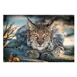 Алмазна мозаїка JS 25386 (50) "TK Group", "Тварини", 30х20 в коробці Алмазна мозаїка JS 25386 (50) "TK Group", "Тварини", 30х20 в коробці