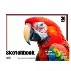 гр Альбом для малювання "Папуга" 30 арк., пружина 9789655323238 (20) "Jumbi" гр Альбом для малювання "Папуга" 30 арк., пружина 9789655323238 (20) "Jumbi"