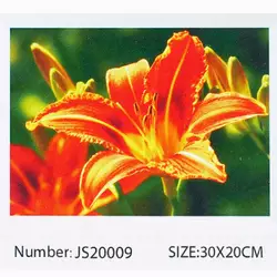 Алмазна мозаїка JS 20009 (50) "TK Group", "Квіти", 30х20 в коробці Алмазна мозаїка JS 20009 (50) "TK Group", "Квіти", 30х20 в коробці