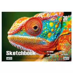 гр Альбом для малювання "Хамелеон" 30 арк., пружина 9789655323269 (20) "Jumbi" гр Альбом для малювання "Хамелеон" 30 арк., пружина 9789655323269 (20) "Jumbi"