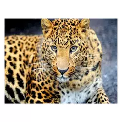 Алмазна мозаїка JS 25464 ШТРИХ=62101 (50) "TK Group", "Тварини", 30х20 в коробці Алмазна мозаїка JS 25464 ШТРИХ=62101 (50) "TK Group", "Тварини", 30х20 в коробці