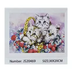 Алмазна мозаїка JS 20469 (50) "TK Group", в коробці, 30х20 Алмазна мозаїка JS 20469 (50) "TK Group", в коробці, 30х20