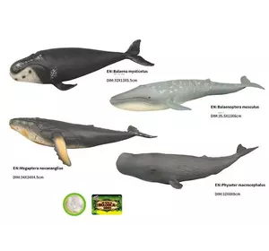 Морские животные Q 9899-581 (144/2) 4 вида