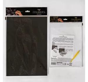 гр Гравюра  А4 економ ГрА4 (60) "Danko Toys" гр Гравюра  А4 економ ГрА4 (60) "Danko Toys"